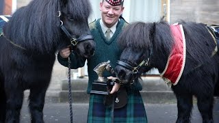 Shetland Pony The Mane Attraction After Scooping Equine Award  Forces TV [upl. by Esirehs]