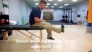 Seated Lower Extremity Nerve Flossing [upl. by Animsaj]