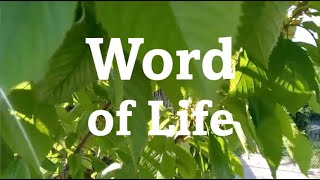 Word of Life July 2024 FocoB [upl. by Manard920]