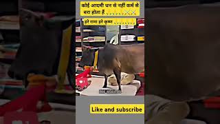 ➡️हरे रामा हरे कृष्ण song short viral videos trending video 🙏🙏🙏⚔️ [upl. by Trescha]