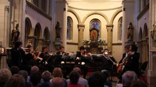 THARICE VIRTUOSI play J Svendsen String Octet  I Allegro risoluto ben marcato [upl. by Kali712]