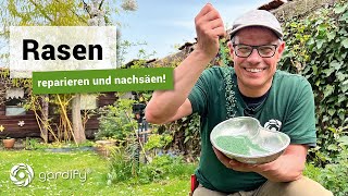 Rasen reparieren und nachsäen  gardify Tipps [upl. by Princess]