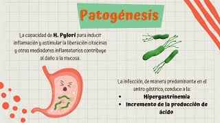 Fisiopatología Úlcera gástrica [upl. by Aihsem695]