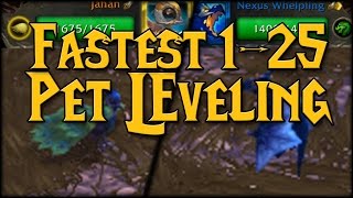 Fastest 125 Pet Battle Leveling [upl. by Ahsrats]