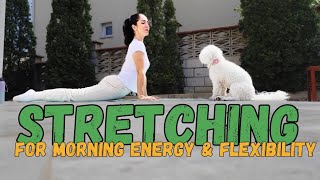 Stretching GOOD morning routine for everyone 🙌 stretching postpartum yoga pilates momroutine [upl. by Eadwine578]