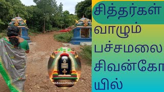 சித்தர்கள் வாழும் பச்சமலை siththargal vazum pachamalai chrompet share [upl. by Kent487]