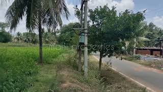 16Gunta Farmland Good location65km bangalore9513194244 [upl. by Rosenstein12]