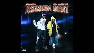 Rob49 amp Lil Wayne  Wassam Baby [upl. by Hploda]