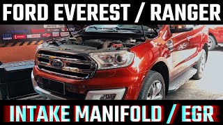 Ford Everest Intake Manifold amp EGR Removal DIY  Ranger  T6  T7  TDCi  22  32 [upl. by Pollard]