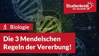 Die 3 Mendelschen Regeln der Vererbung  Biologie verstehen mit dem Studienkreis [upl. by Sutelc]