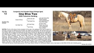 Pitzer Ranch Spring Sale 2024 Lot 13 IMA DIVA TWO [upl. by Oirasec]