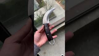 Who needs this claw knife defensetool everydaycarry edc [upl. by Suilmann]