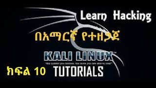 How to Gather Information in Kali Linux using MalteGo [upl. by Ahselat]