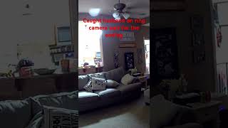 Husband Caught on Ring Camera Doing the Unthinkable [upl. by Vicki]