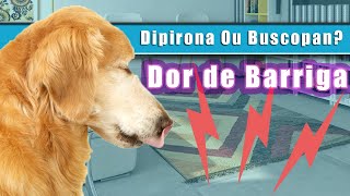 Cachorro com DOR DE BARRIGA DIPIRONA ou BUSCOPAN [upl. by Winebaum462]