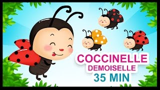 Coccinelle demoiselle  Comptines pour les petits  Titounis [upl. by Sankey]