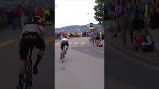 🐶 This could have been a nasty collision for Marc Hirschi at the Tour de Suisse 🇨🇭 cycling dogs [upl. by Otreblon835]