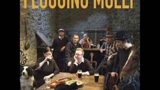 Paddys Lament  Flogging Molly [upl. by Aldercy]