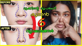 മൂക്കിന്റെ രൂപഭംഗി കൂടാൻ 4 Mins ചെയ്യാവുന്ന 6 വ്യായാമങ്ങൾHow to Reshape Sharpen and Slim down nose [upl. by Homer]