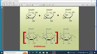 Pharmacognosy 1 lec 9 [upl. by Weisbrodt]