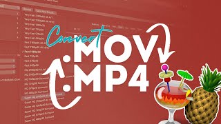 How To Convert Mov to Mp4 Best and Easy Way [upl. by Eniagrom400]