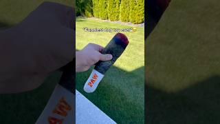 “Funniest dog toy” 😂🐶 dog dogaccessories dogproduct dogtoys doglover dogshorts viralvideo [upl. by Ozne]