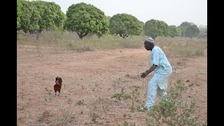 YEREDON BOUGOU E33 [upl. by Sello908]