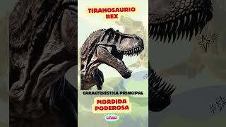 Dinosaurios y sus Características Especiales 🦕🦖 Parte 1 [upl. by Menell]