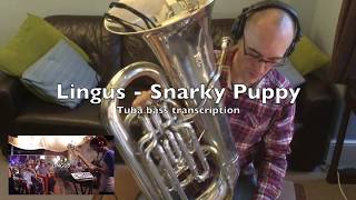 Lingus Snarky Puppy  Tuba Bass Cover [upl. by Ezra]