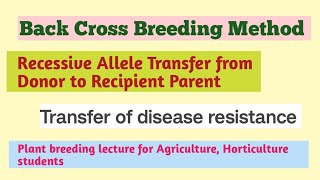 back Cross Breeding method for recessive gene transfer in hindi [upl. by Zillah]