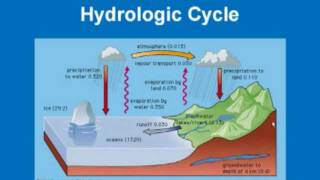 Limnology  Hydrologic Cycle [upl. by Gehlbach]