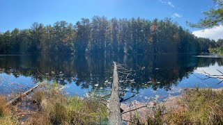 Stag Forest Road Forestburgh NY 10 Acre Waterfront Lot [upl. by Dennie]