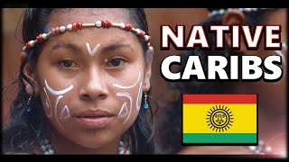 What on Earth Happened to the Taino Indigenous People of the Caribbean [upl. by Ive]