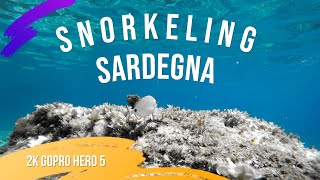 Snorkeling Sardegna  2K GOPRO Hero5 [upl. by Devland]