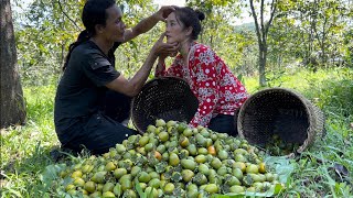 Harvesting Persimmons Goes to the market sell Vàng Hoa [upl. by Koenraad]