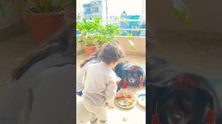 Kukur tihar  XORI haru kukurpuja gardai  Dog Festival  Happy Tihar 🥰🐕 dogfest shikshya [upl. by Enialb201]