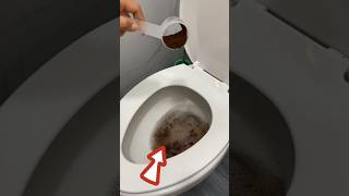 Green Cleaning Kill Germs and Bugs in Your Bathroom GreenCleaning CleanBathroom DIY HomeHelp [upl. by Ilenna]