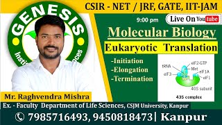 Eukaryotic Translation  Molecular Biology  CSIR NETJRF  Life science [upl. by Stearn]