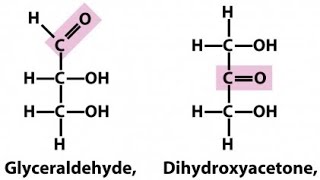 Trioses  Glyceraldehyde and Dihydroxy acetone  Monosaccharides [upl. by Acima]