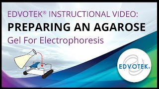 Preparing an Agarose Gel For Electrophoresis  Edvotek Video Tutorial [upl. by Ardy]