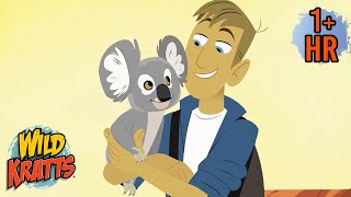 Koalas Kangaroos amp More  Wild Kratts Animal Adventures for Kids  9 Story Kids [upl. by Meridel943]