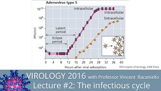 Virology Lectures 2016 2 The Infectious Cycle [upl. by Eaned256]