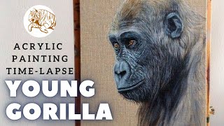 Painting A Gorilla  Acrylic Painting Timelapse [upl. by Anaihr355]