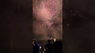 I Survived Macys 4th of July Fireworks [upl. by Flessel923]