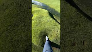 The golf course grass is bubbling [upl. by Scribner]