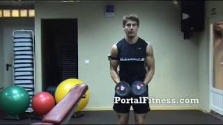 Entrenamiento Muscular con mancuernas y un banco [upl. by Akimit]