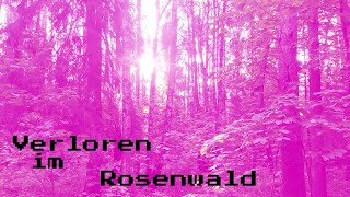 Verloren im Rosenwald Musikvideo Keller synth EPILEPSY WARNING [upl. by Ellertnom733]