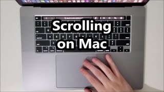 How to Scroll Up or Down with TrackPad on MacBook Pro 16 [upl. by Suzette]