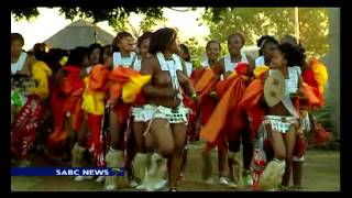 South African maidens perform annual reed dance [upl. by Natalina]