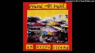 04 A Baby For Pree  Neutral Milk Hotel  On Avery Island [upl. by Neehsar]